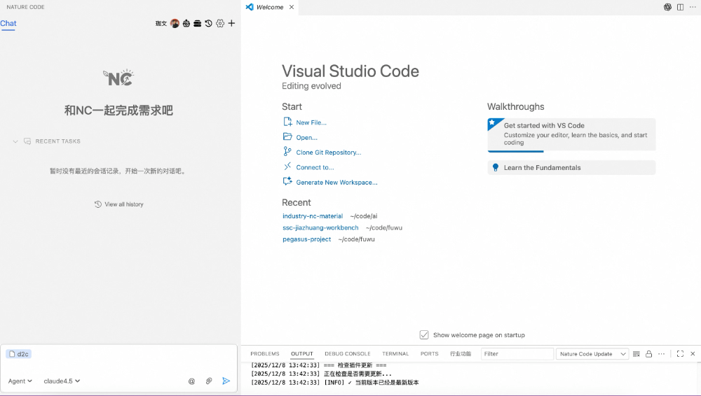 编码工具VS Code插件界面