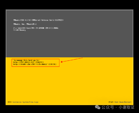 ESXi主控制台界面显示IP