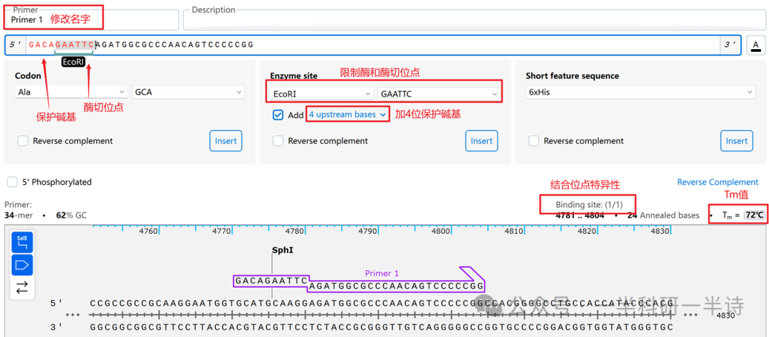 Primer设计详情界面