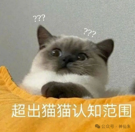 表情包：一只困惑的猫咪，配文“超出猫猫认知范围”
