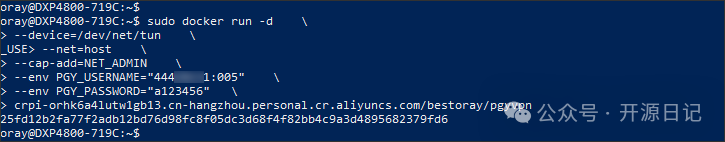 Docker 一键部署蒲公英组网命令截图