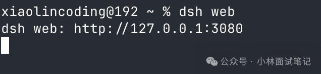 终端重启 dsh web 服务