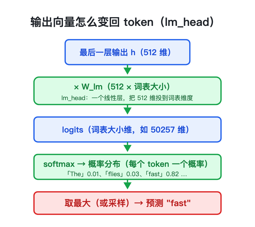输出向量怎么变回 token:lm_head 流程