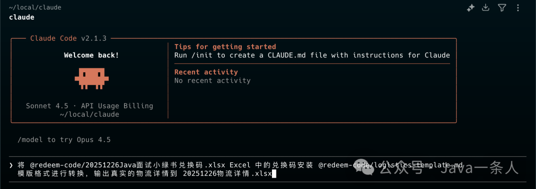 Claude Code v2.1.3 终端界面，显示将 Excel 兑换码按模板转换为物流详情的指令与路径