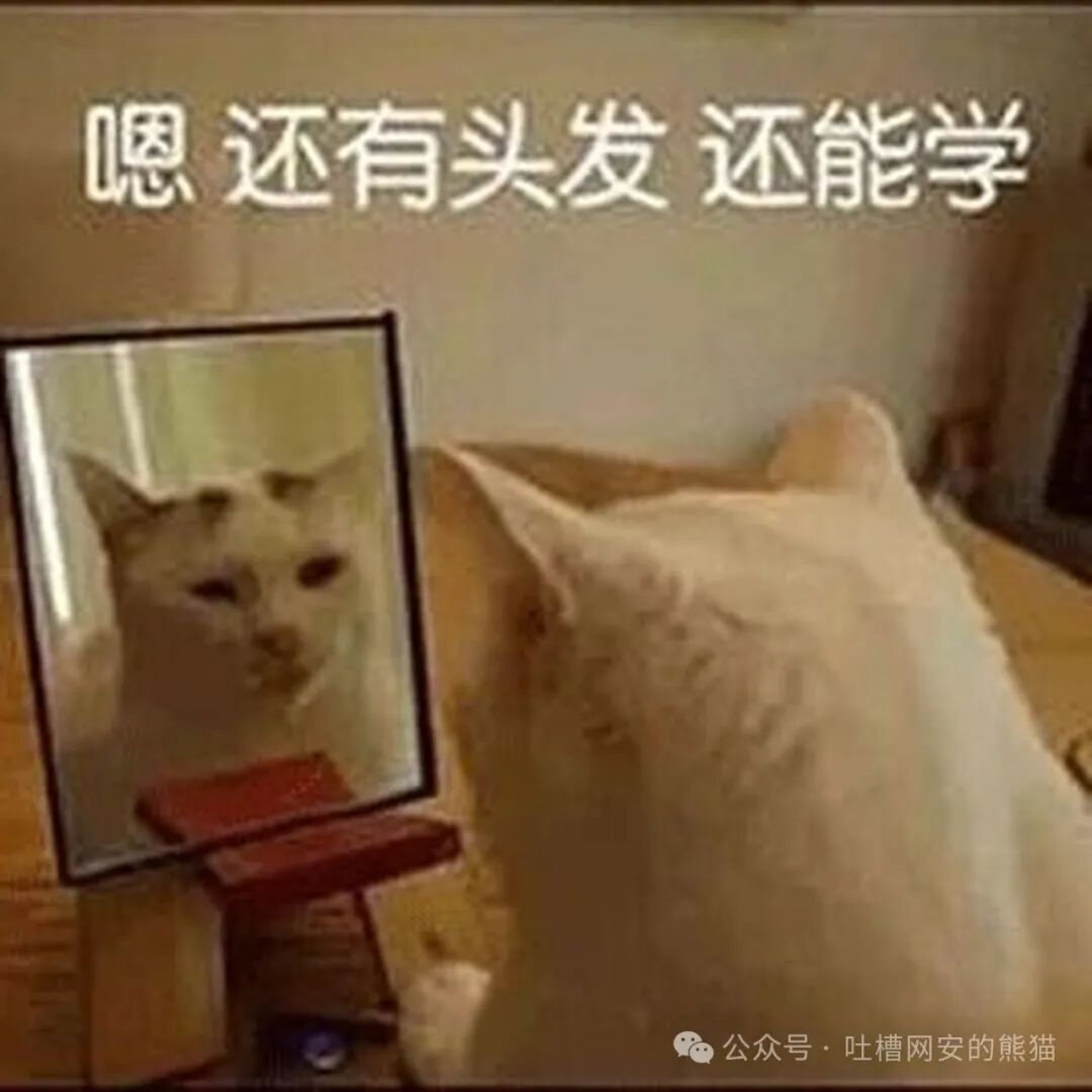 对镜自照的猫咪，配字“嗯 还有头发 还能学”