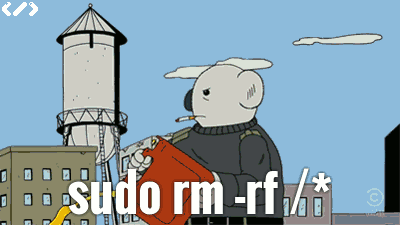 sudo rm -rf /* 考拉梗图