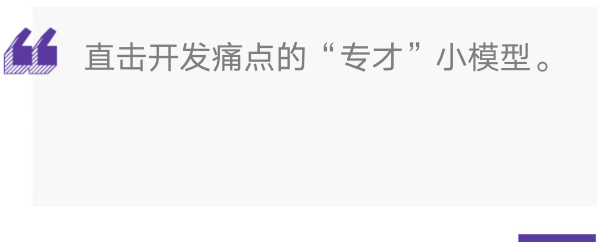 引语图片：直击开发痛点的“专才”小模型