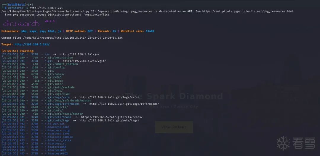 Dirsearch目录扫描结果