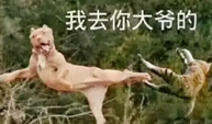 一张表示“飞踢”的表情包