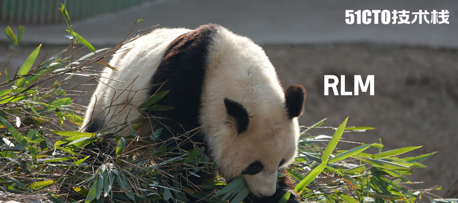 MIT RLM论文相关配图