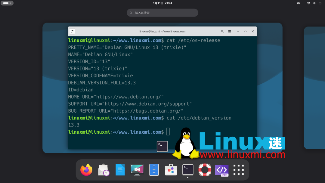 Debian 13.3系统版本信息查询终端截图