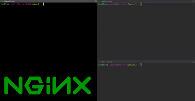 NGINX 漏洞复现的终端分屏界面，显示 Ubuntu 24.04 系统信息与 Docker 构建提示