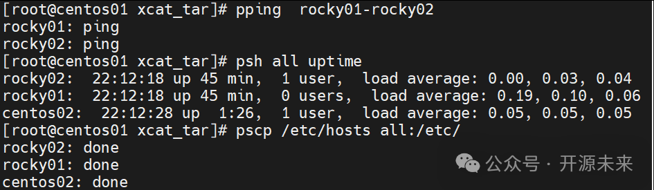 并行 ping、psh 和 pscp 的命令执行结果