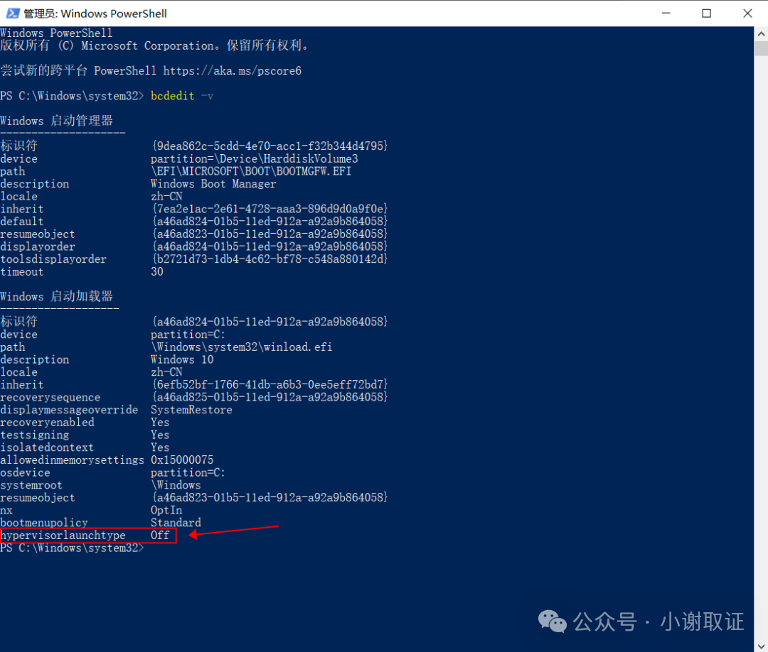 检查Hyper-V状态命令行输出