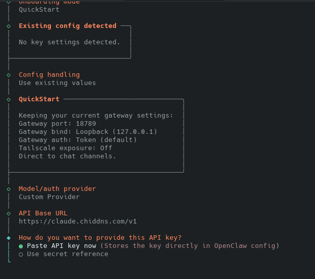 输入自定义API基础URL