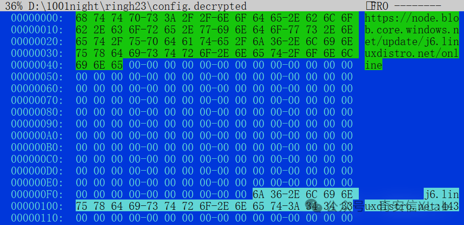 蓝色背景的十六进制数据转储界面，显示文件路径 D:＼＼100lnight＼＼ringh23＼＼config.decrypted 的内容