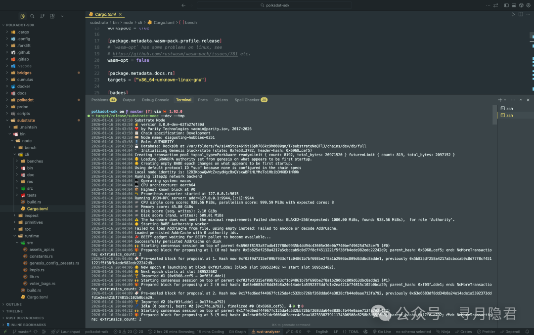 Rust项目Cargo.toml配置与编译终端输出