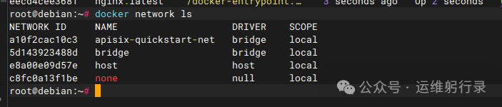 image-20251215220031477