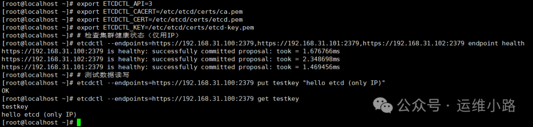 Etcd集群健康状态与读写测试结果