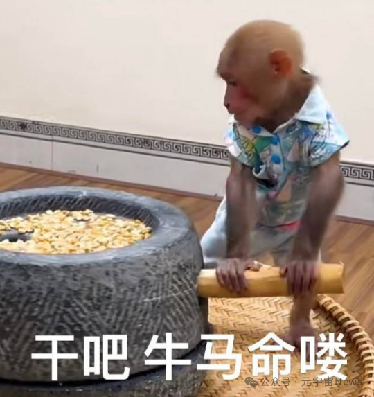 捣药猴子的梗图