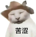 苦涩猫咪表情包