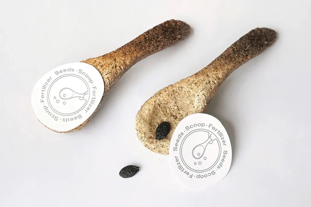 可降解材料制成的种子播种勺与种子展示