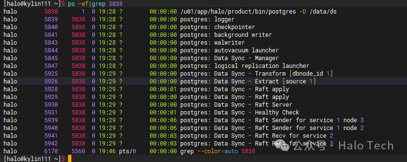 Data Sync进程状态截图
