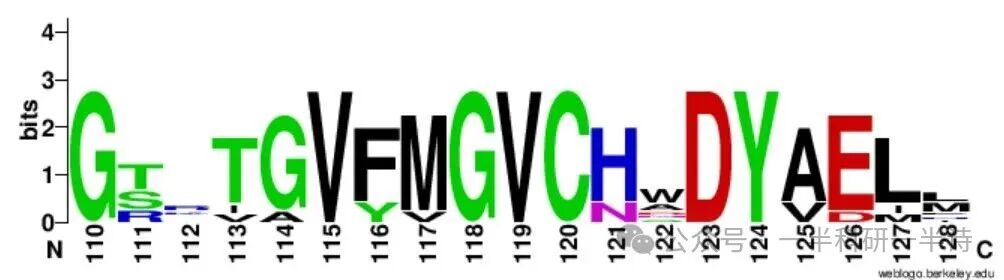 最终生成的蛋白质序列WebLogo示例图