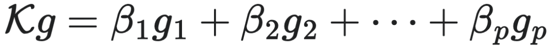 $Kg = \beta_1 g_1 + \beta_2 g_2 + \cdots + \beta_p g_p$