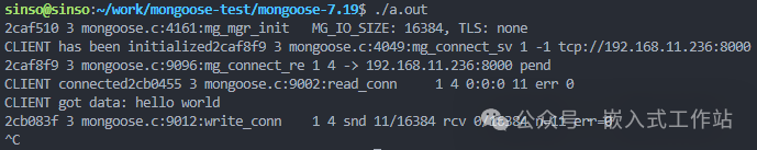 客户端程序运行终端输出截图，显示连接建立、接收并回发数据