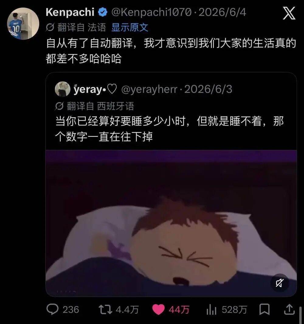 推文截图:自从有了自动翻译,我才意识到我们大家的生活真的都差不多