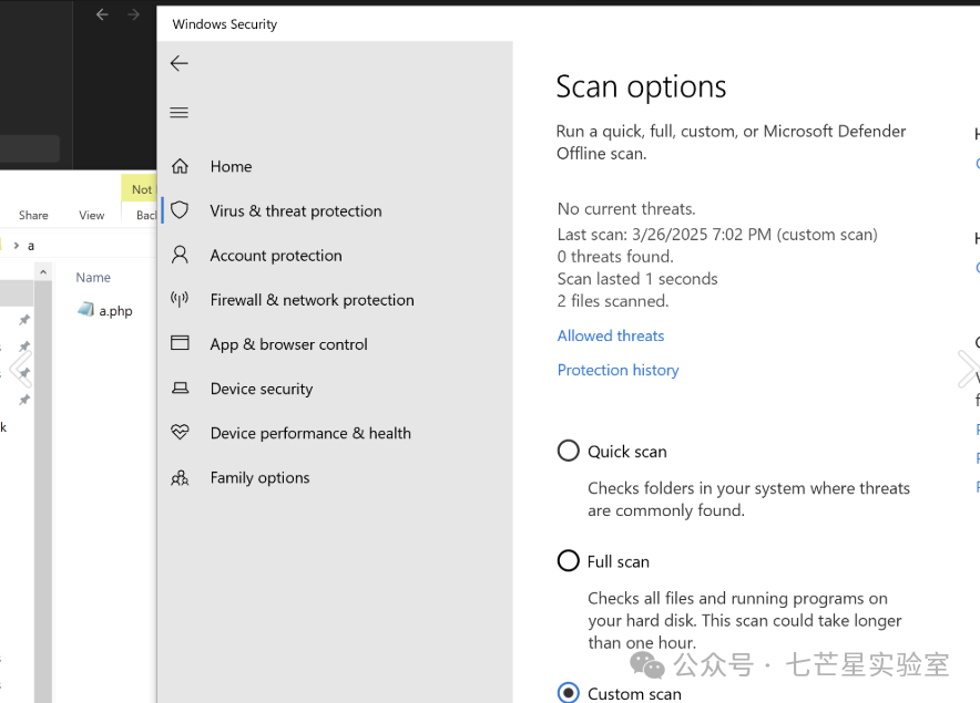 Windows Defender扫描结果