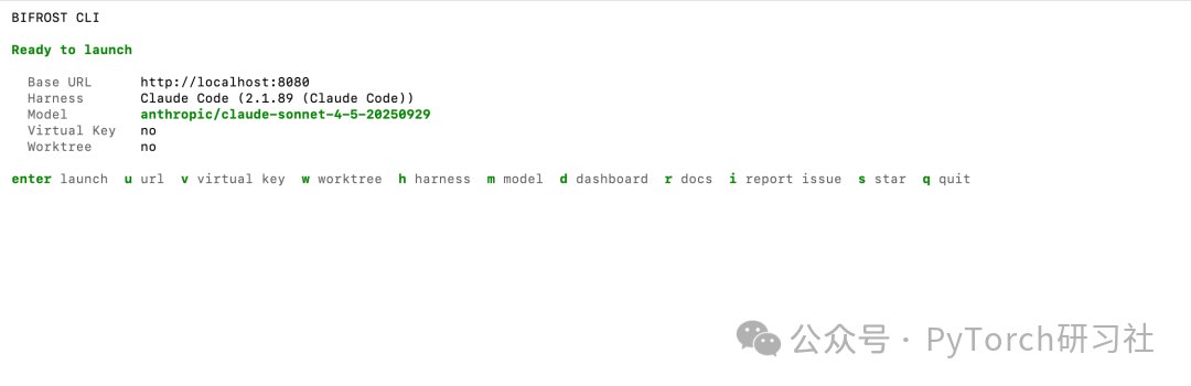 Bifrost CLI 配置就绪界面