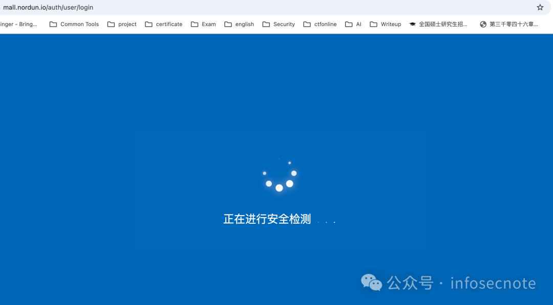 人机验证过程中的安全检测页面