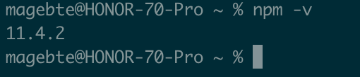 终端验证 npm 版本