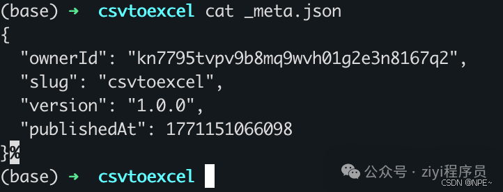 终端查看 _meta.json 内容