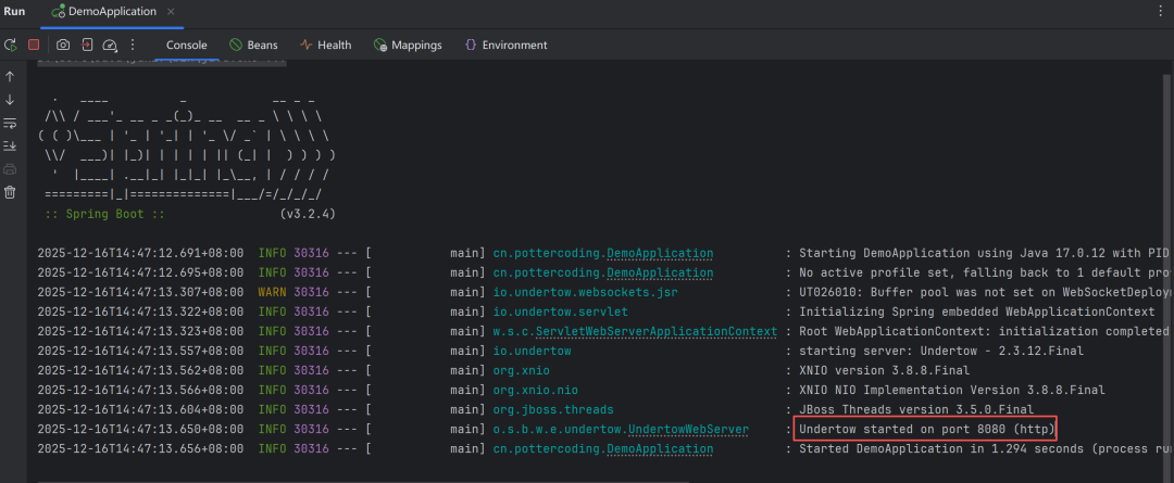 Undertow启动日志