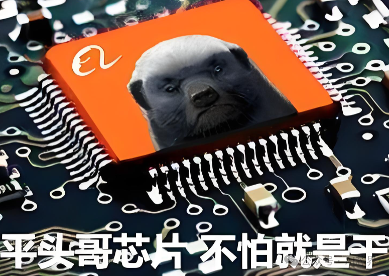 平头哥芯片 不怕就是干