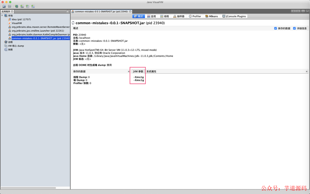 Java VisualVM 界面概览
