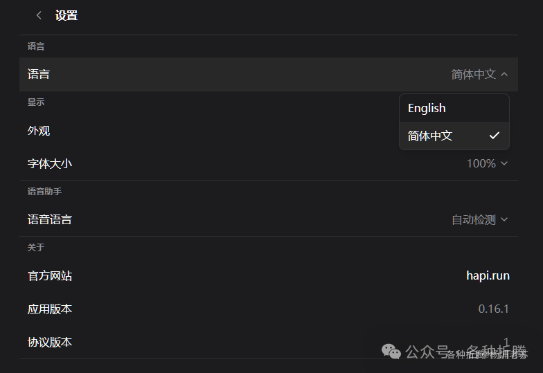HAPI 设置界面，可切换语言为中文