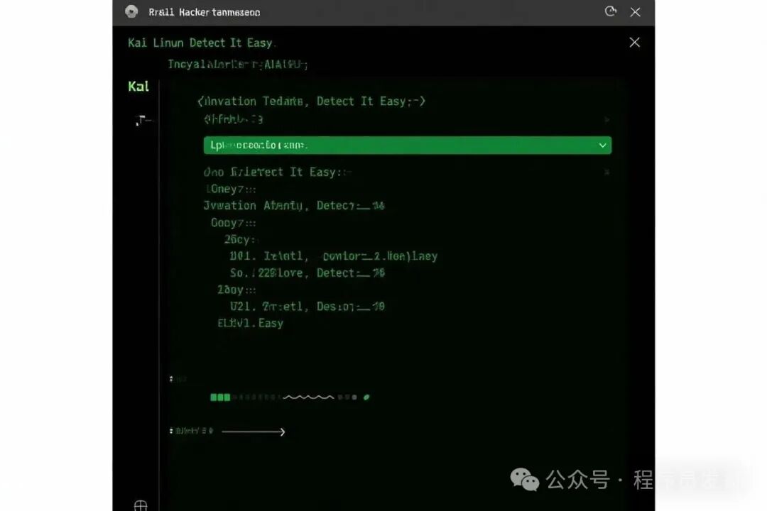 Kali Linux安装DiE过程