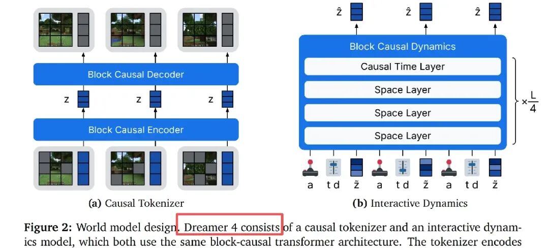 Dreamer 4 世界模型设计：因果分词器与交互动力学