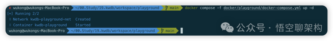 Docker Compose 启动成功截图