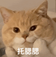 熊猫表情包