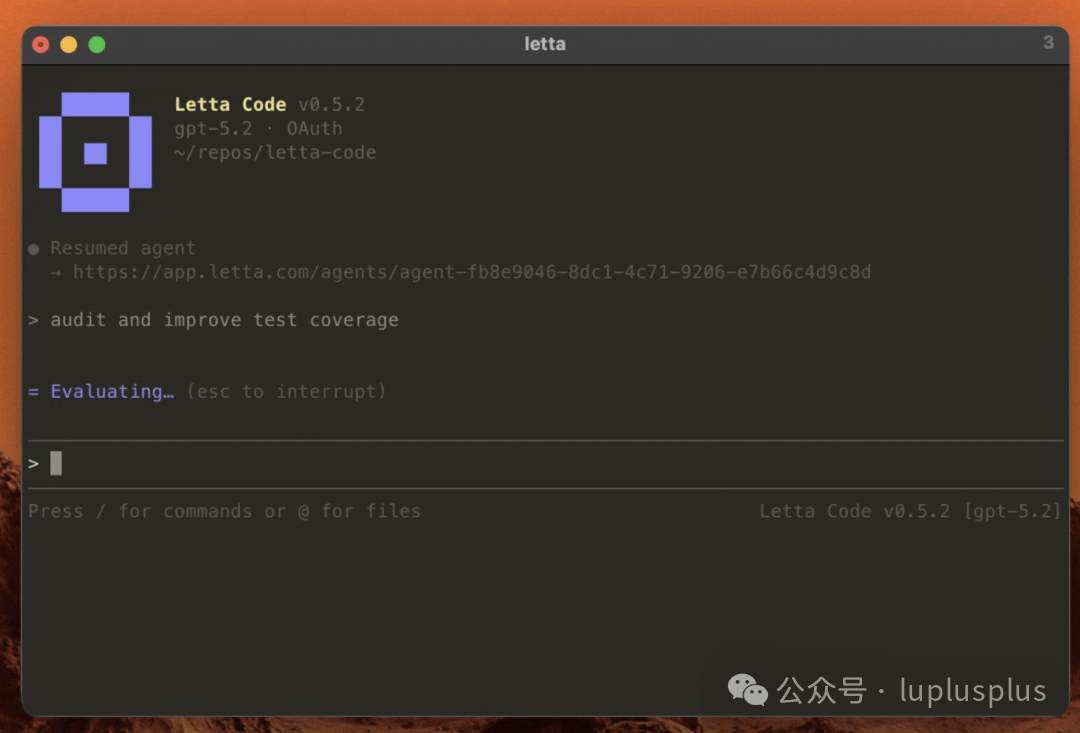 Letta Code 产品概览