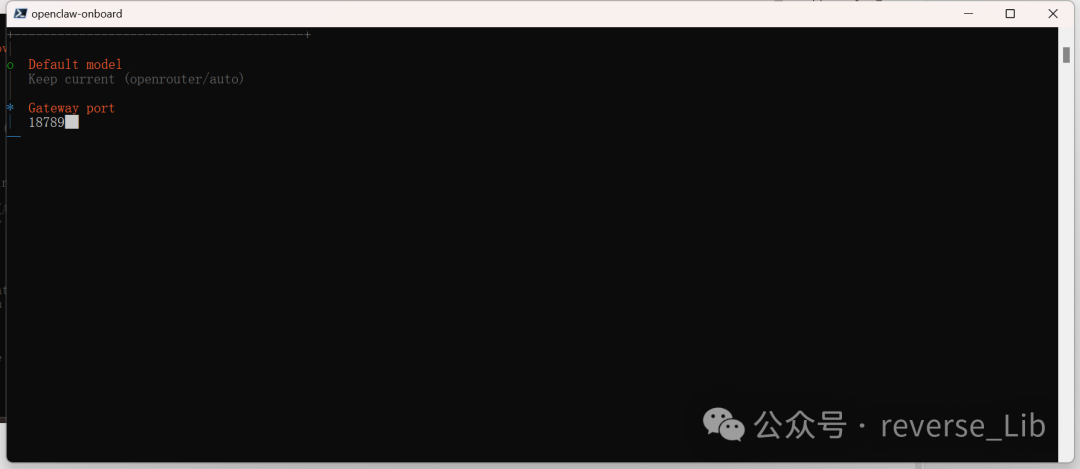 OpenClaw默认模型与端口设置截图