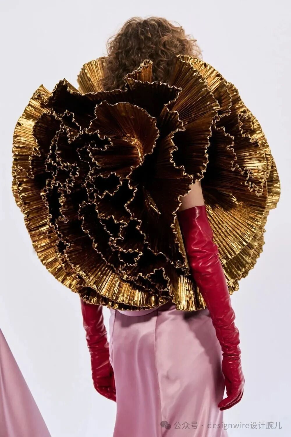 一位卷发模特背对镜头，身穿一件极具视觉冲击力的金色与深棕色相间的大型立体服装，形似层层叠叠、边缘呈波浪状的巨型花朵或褶皱扇形结构，材质具有金属光泽；搭配一双高筒亮面酒红色长手套，下身是浅粉色缎面裙装，背景为纯白色。右下角有水印文字“公众号 · designwire设计腕儿”。
