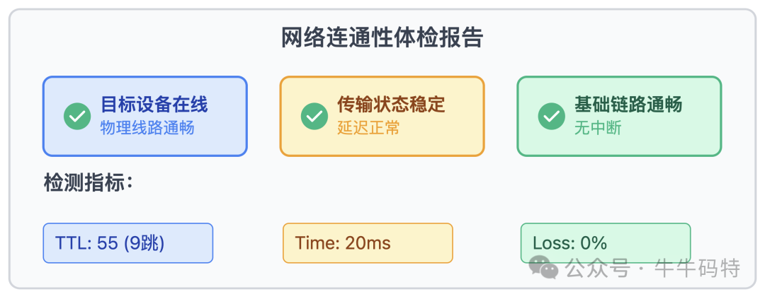 网络连通性体检报告