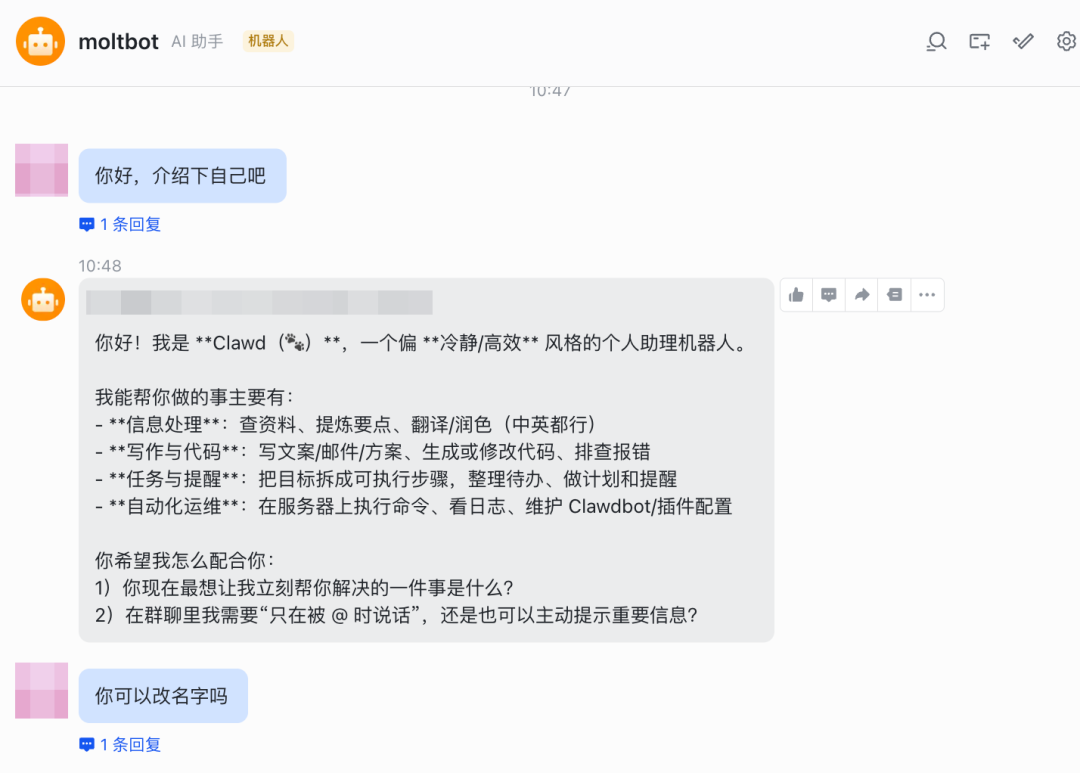 在飞书私聊中与moltbot对话