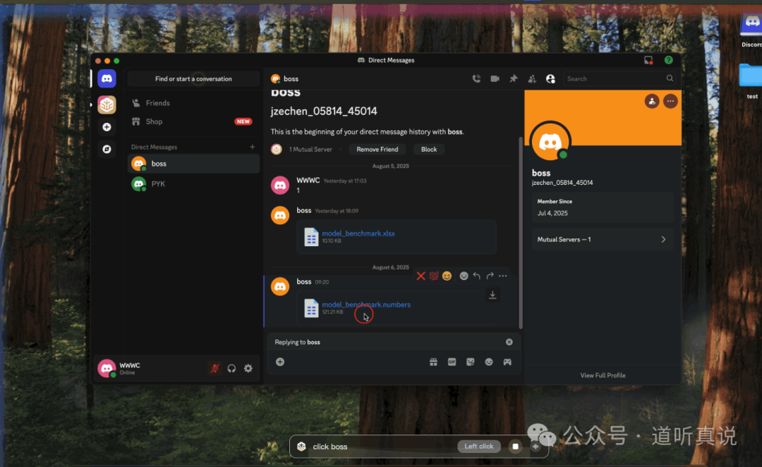Discord界面截图，显示文件传输和聊天记录